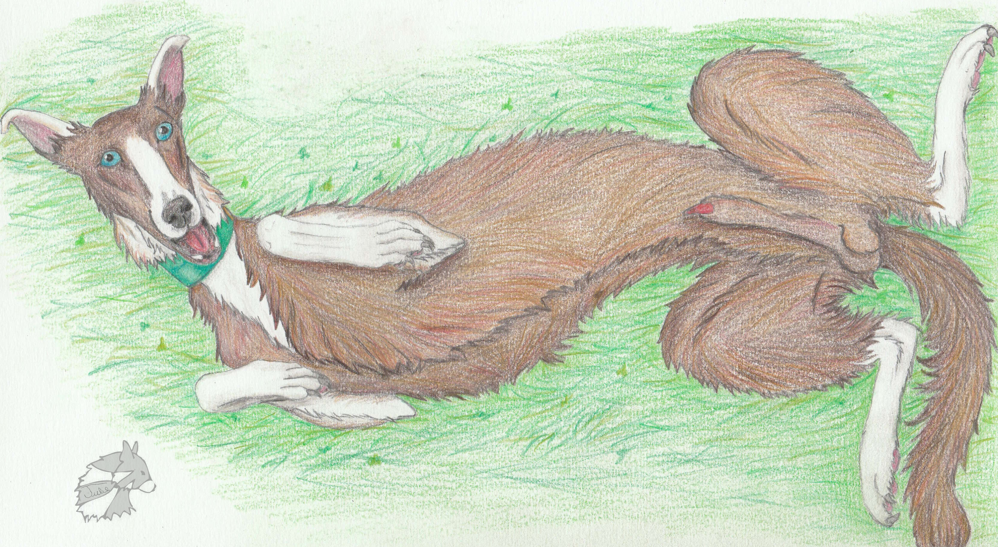 Canine Rule 34 Image