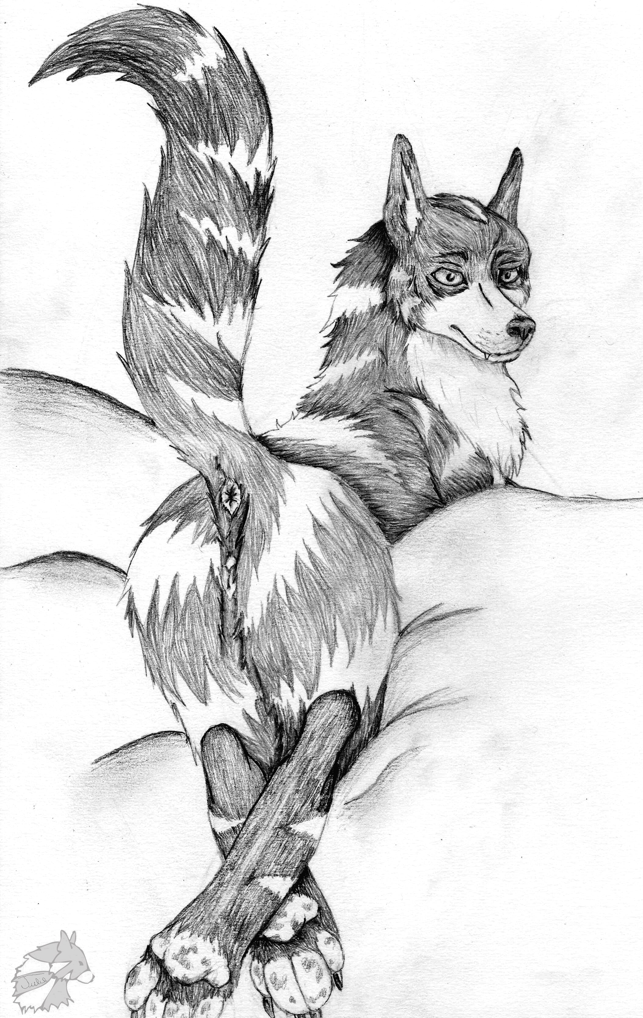 Animal Genitalia Rule 34 Image