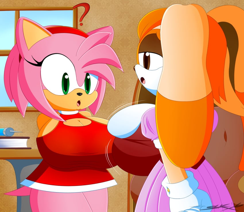 Sonic (Series) Rule 34 Image