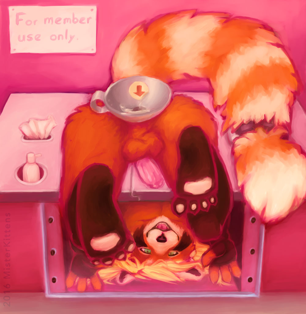 Zaarikatt Rule 34 Image