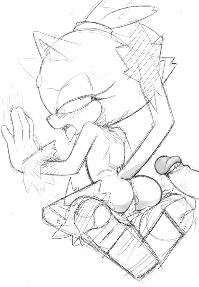 Blaze The Cat (Sonic (Series)) Rule 34 Image