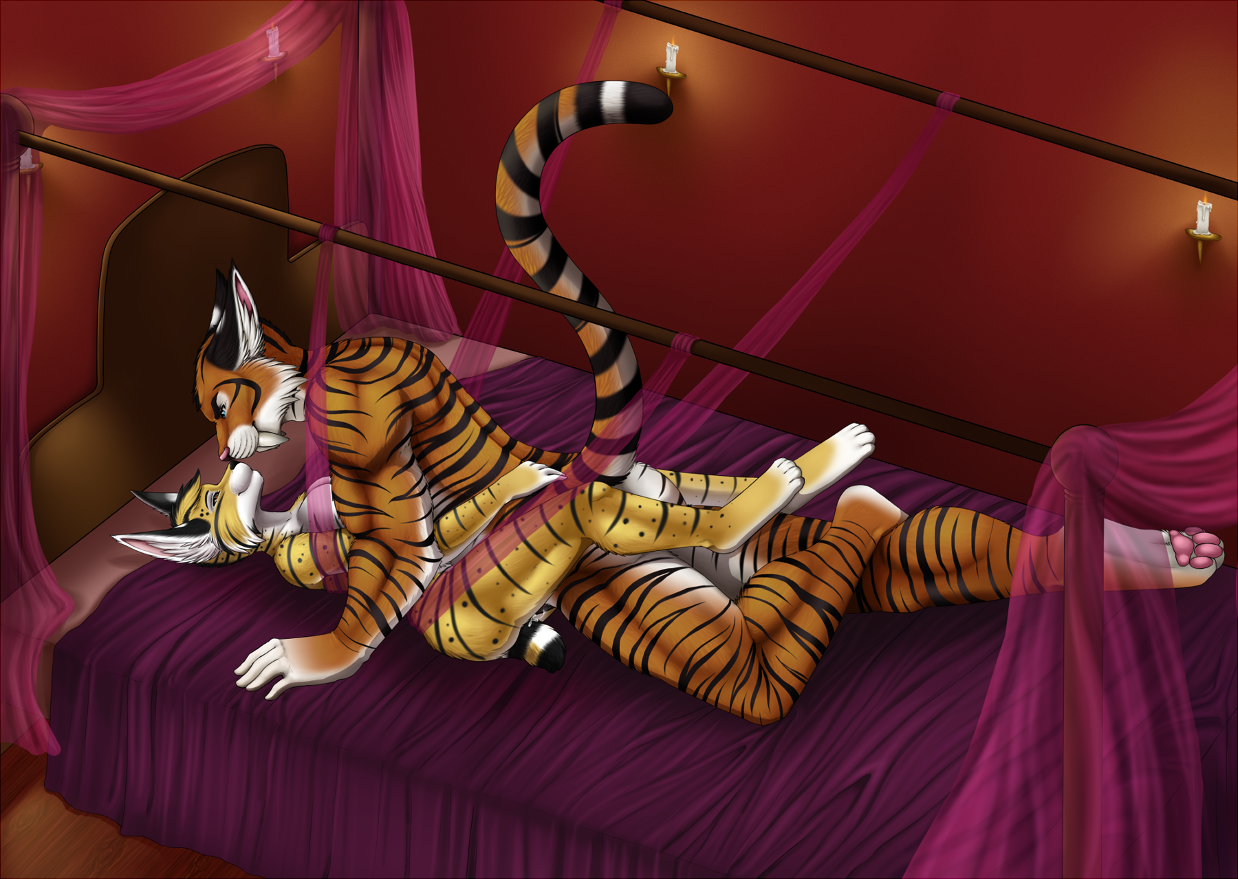 Sketchkat (Character) Rule 34 Image