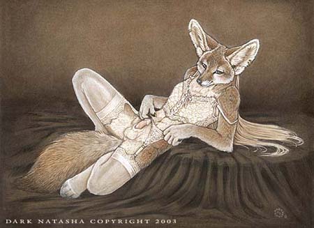 Animal Genitalia Rule 34 Image