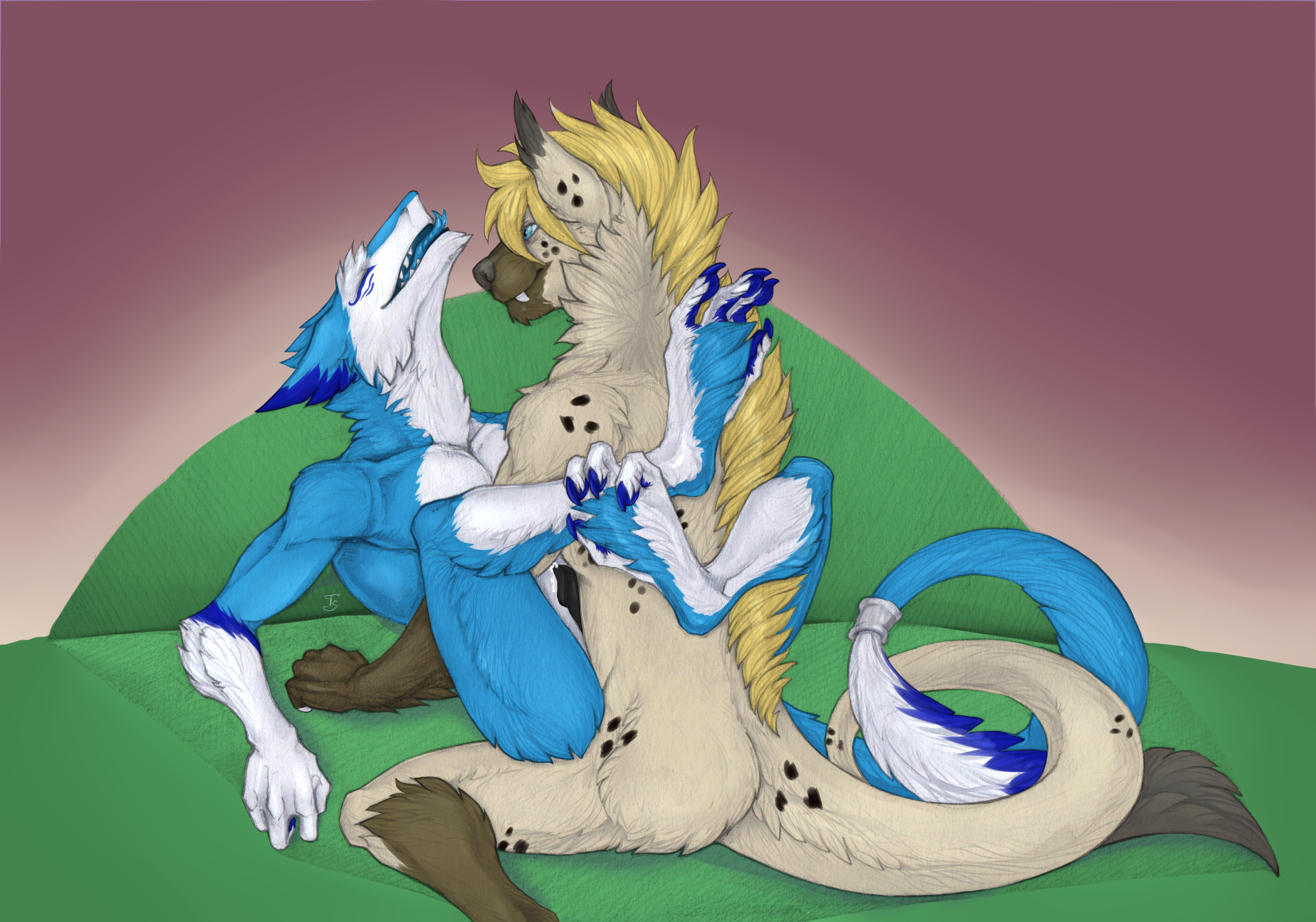 Halley Rule 34 Image