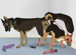 Muzzle (Object) Rule 34 Image
