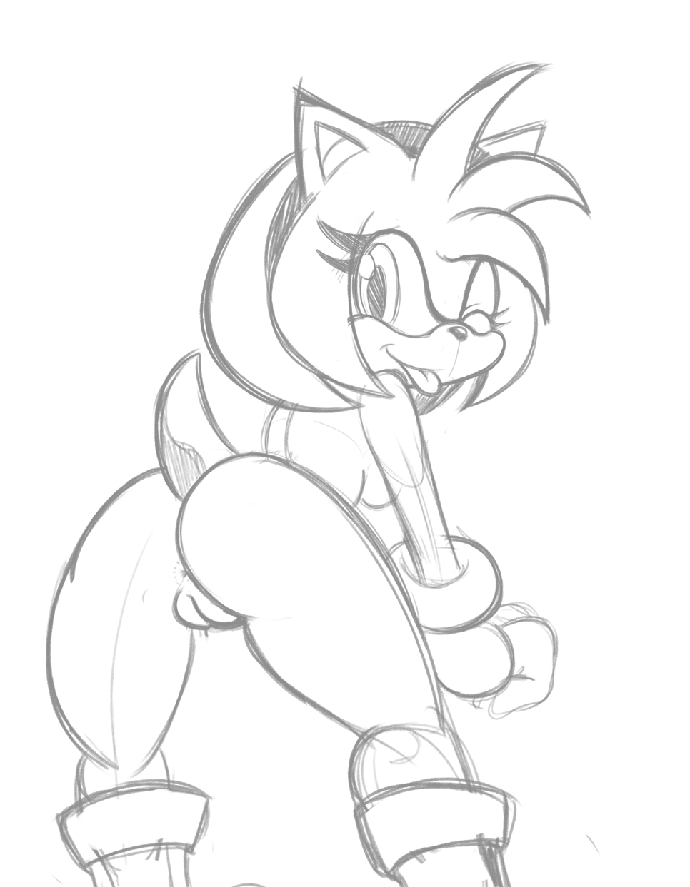 Amy Rose (Sonic (Series)) Rule 34 Image