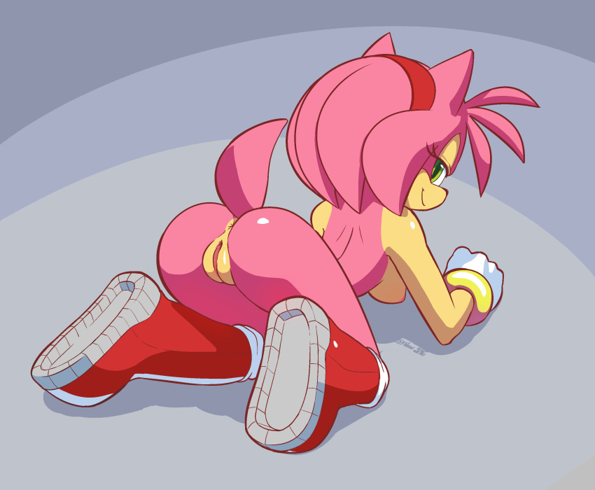 Amy Rose (Furaffinity) Rule 34 Image