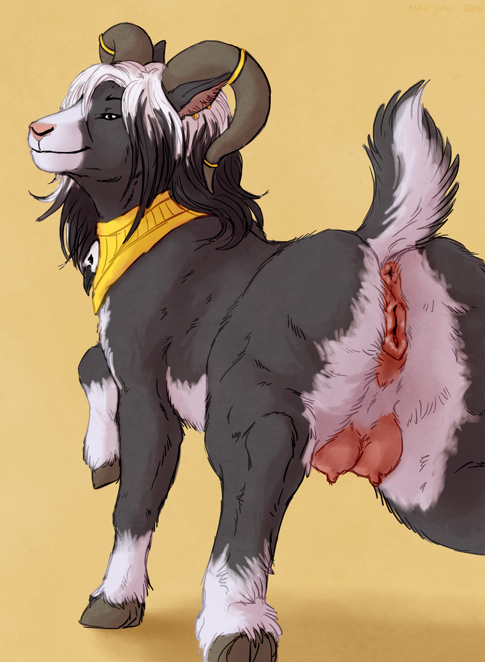 2016 Rule 34 Image