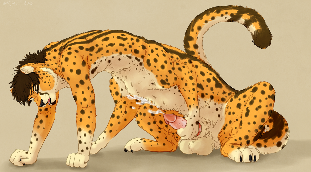 2016 Rule 34 Image