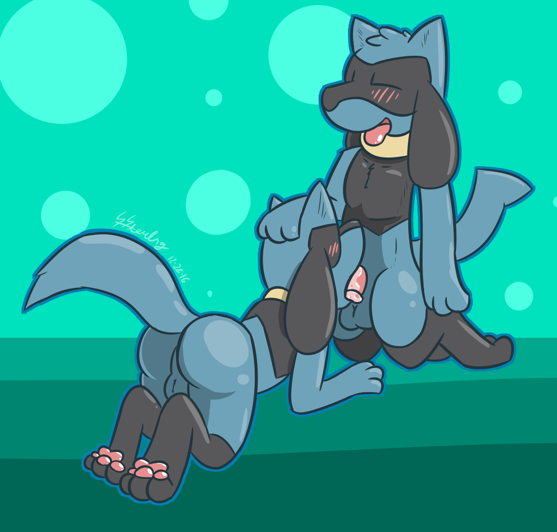 Riolu (Nintendo) Rule 34 Image