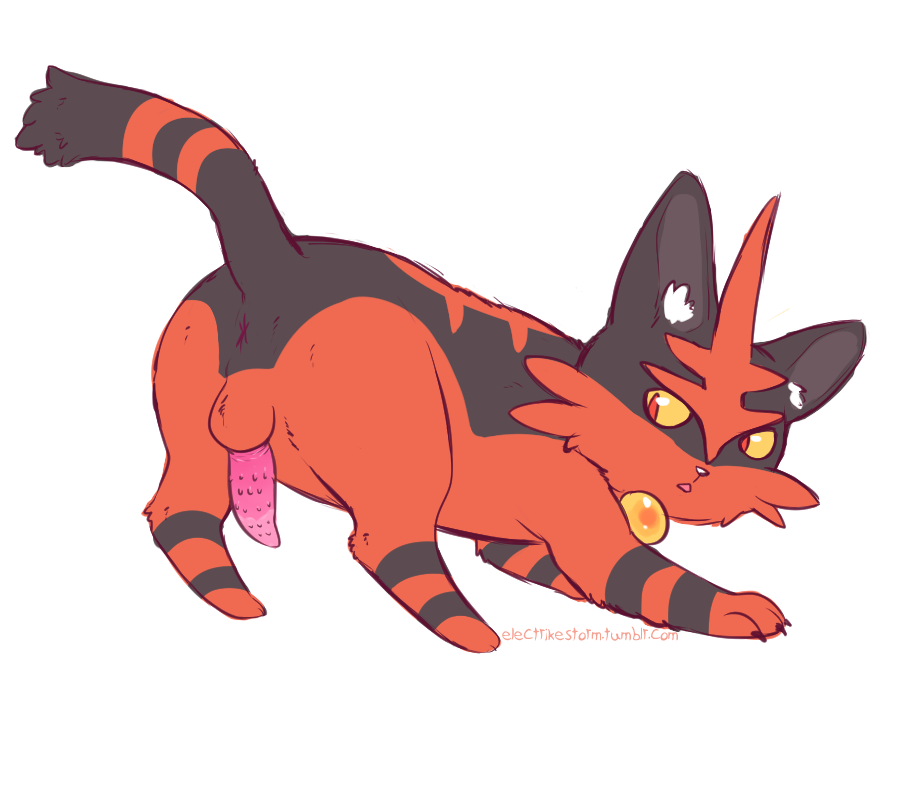 Torracat (Nintendo) Rule 34 Image