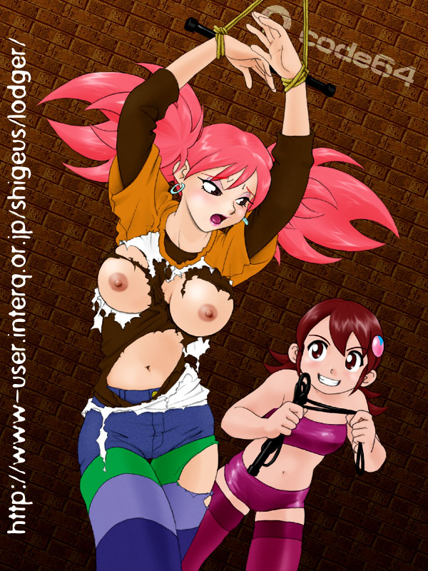 Iroaya Madoi (Mega Man) Rule 34 Image