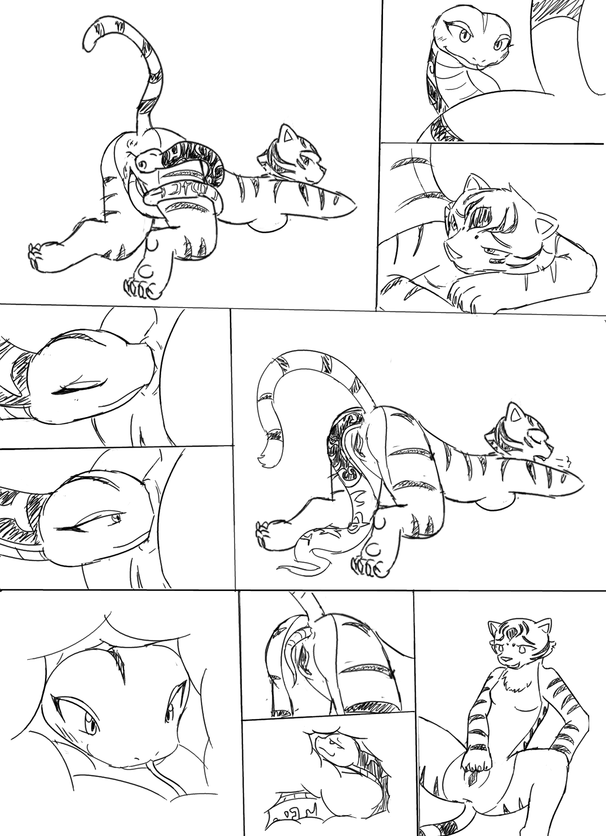 Master Tigress (Kung Fu Panda) Rule 34 Image