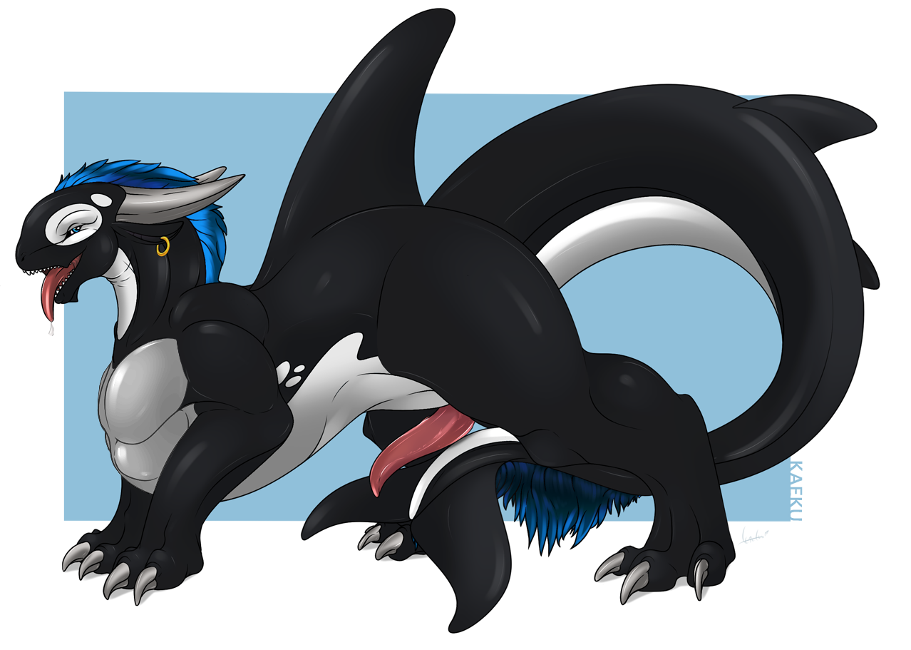 Cetacean Rule 34 Image