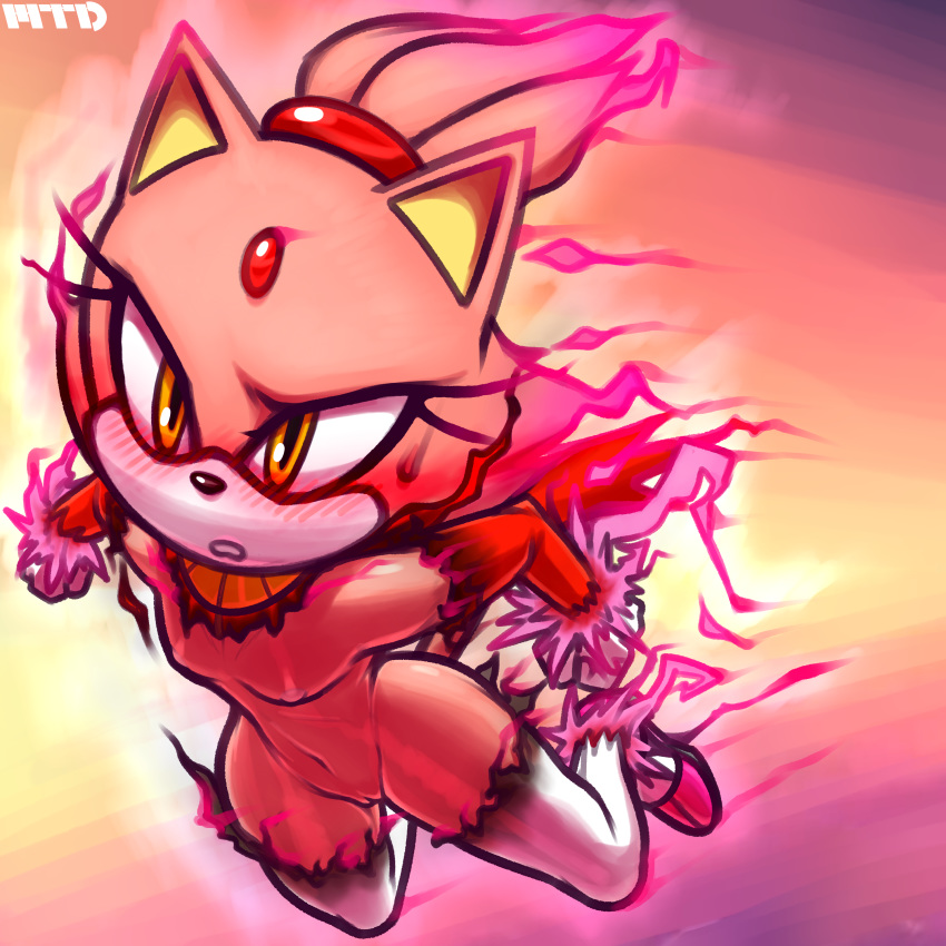 Blaze The Cat (Sega) Rule 34 Image