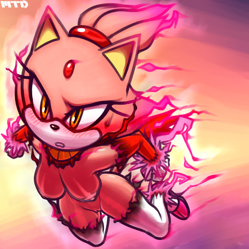 Blaze The Cat (Sega) Rule 34 Image