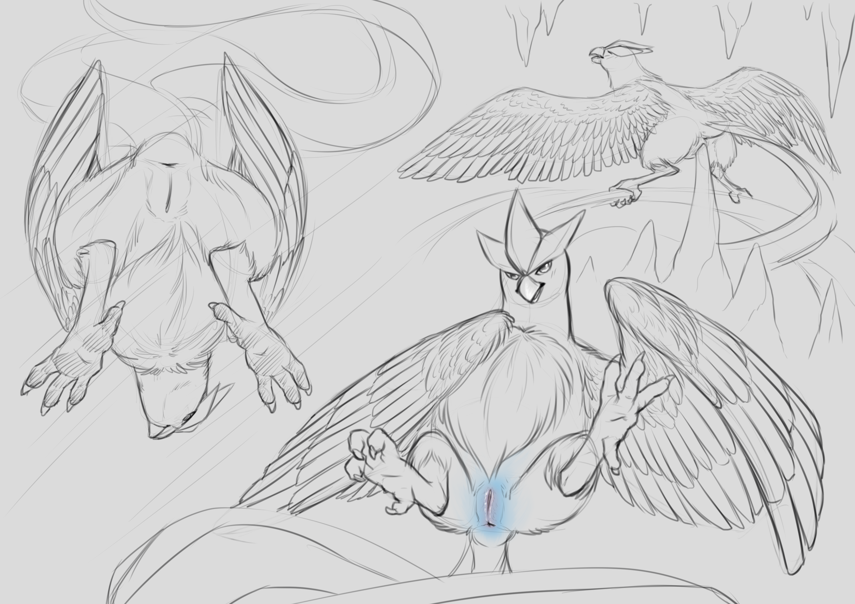Articuno (Nintendo) Rule 34 Image