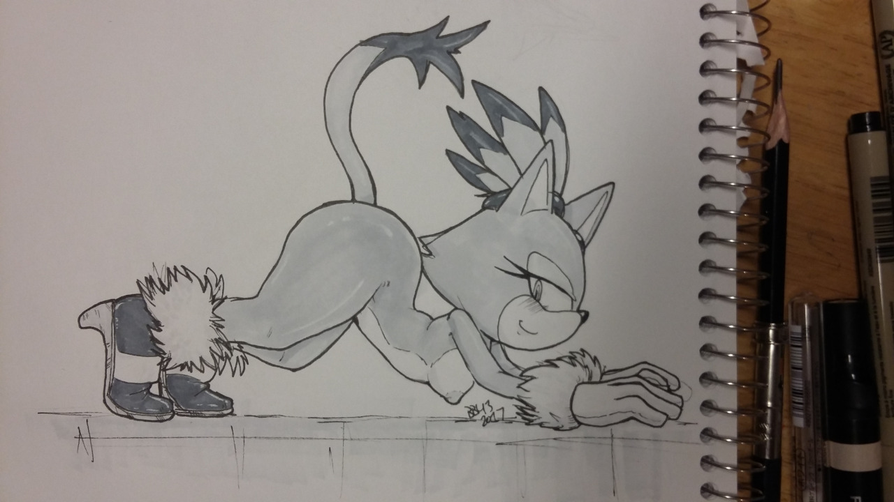 Blaze The Cat (Sonic (Series)) Rule 34 Image