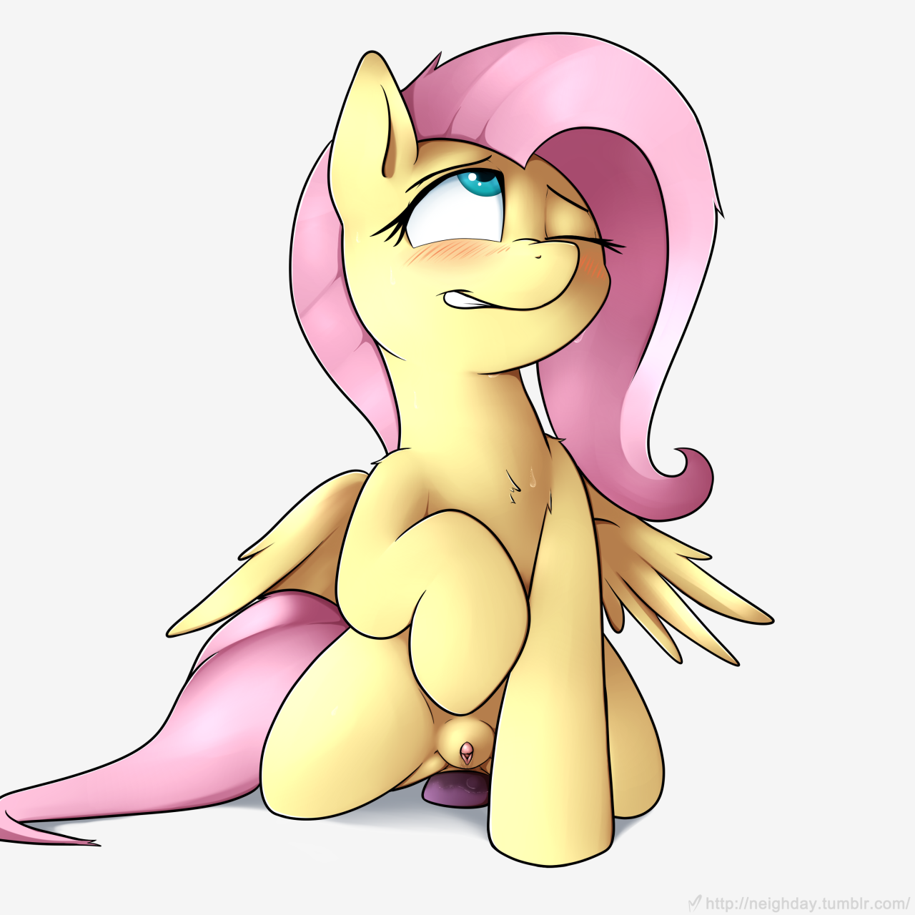 Fluttershy (Mlp) Rule 34 Image