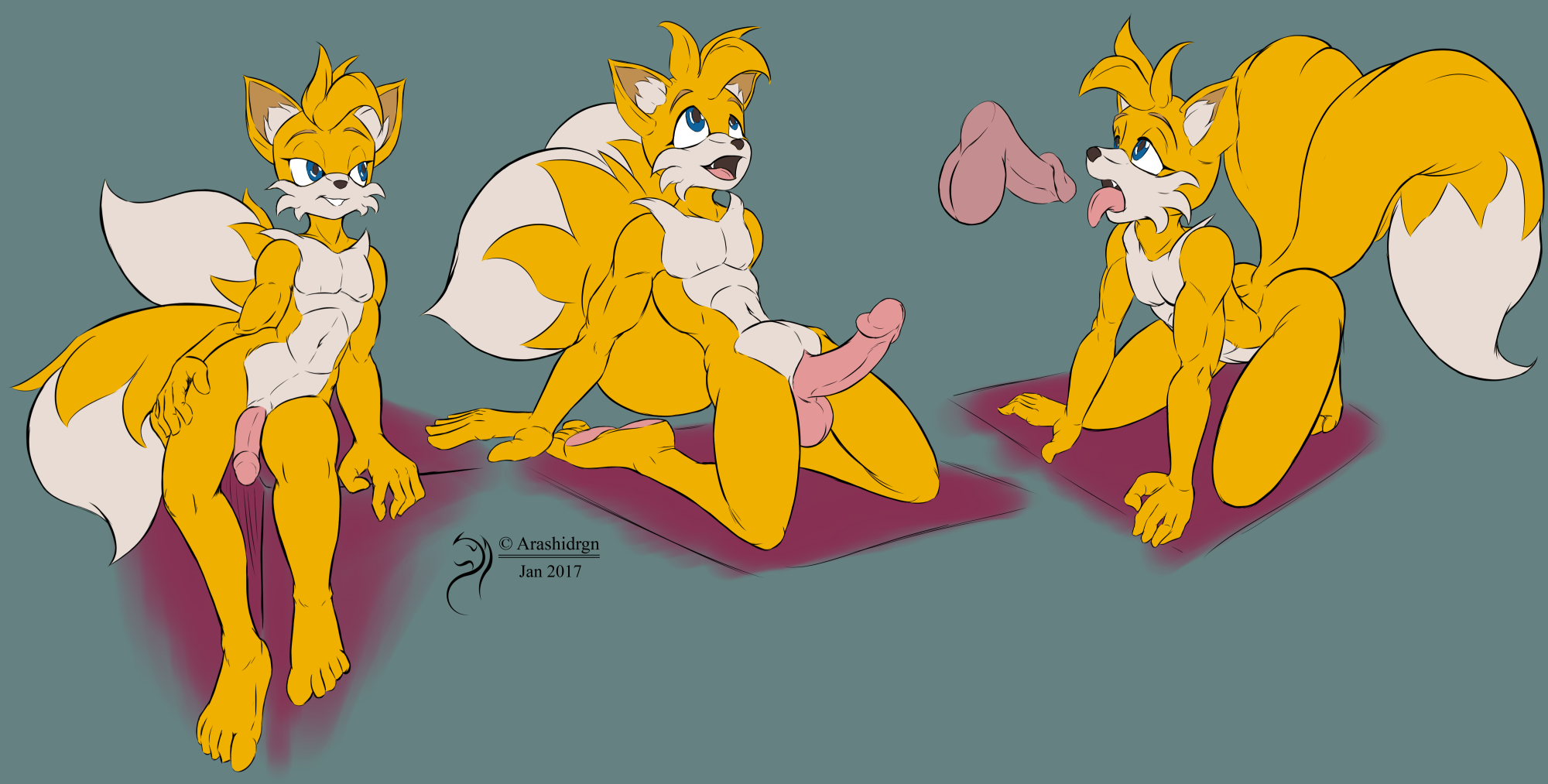 Tails The Fox (Sonic (Series)) Rule 34 Image