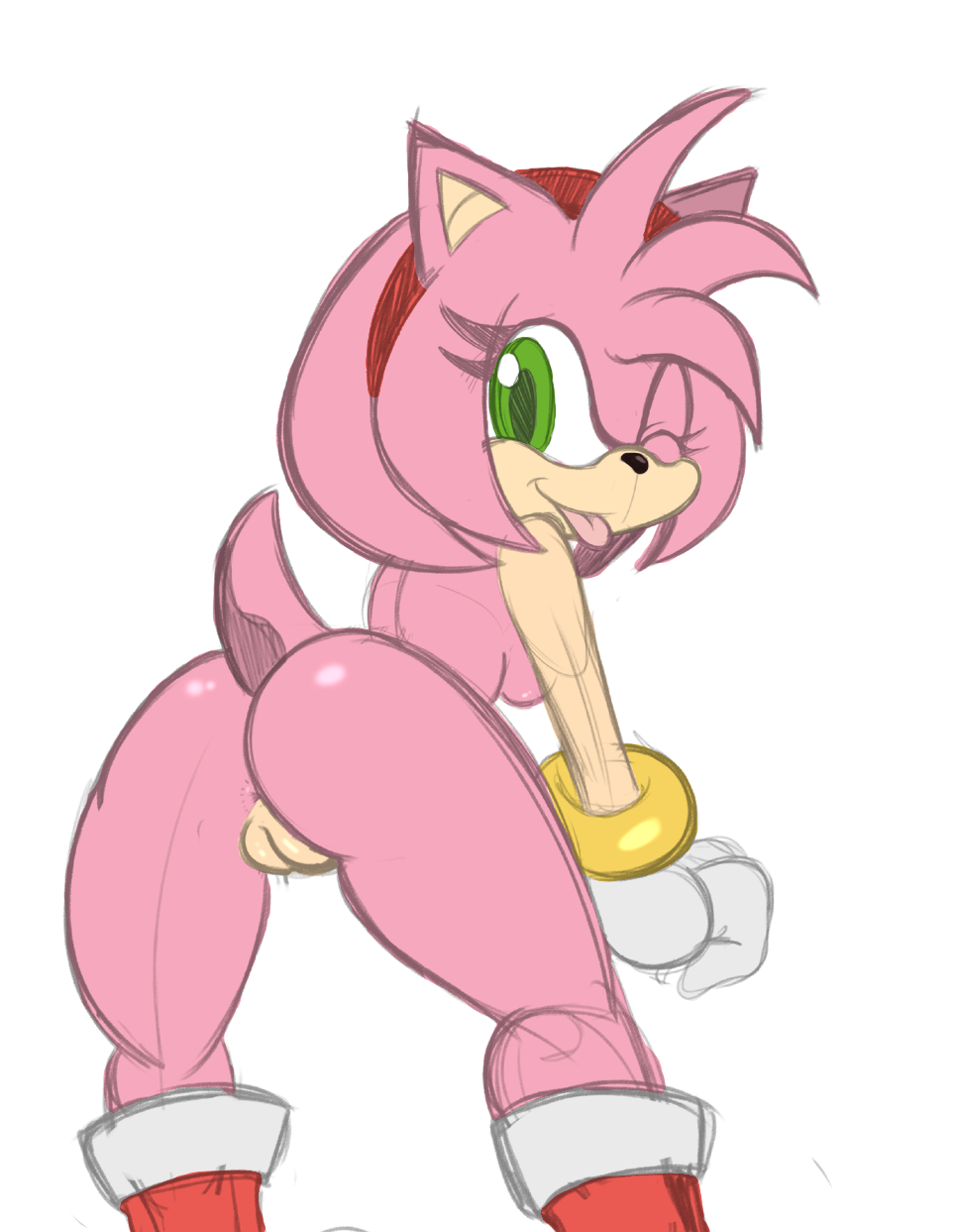 Amy Rose (Sonic (Series)) Rule 34 Image