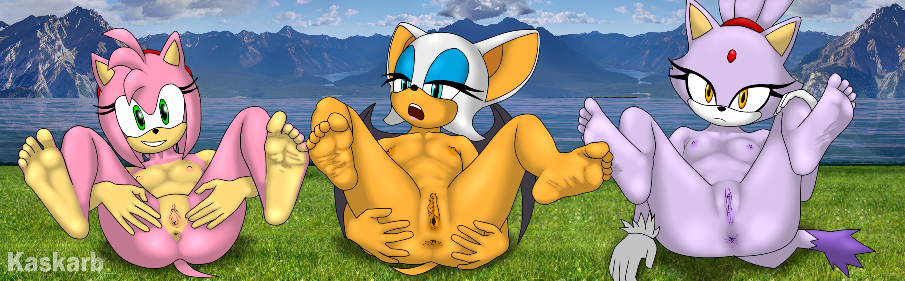 Amy Rose (Sonic (Series)) Rule 34 Image
