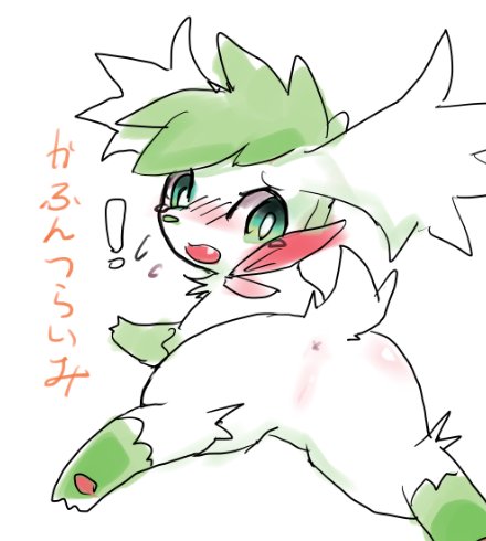 Pokemon (Species) Rule 34 Image