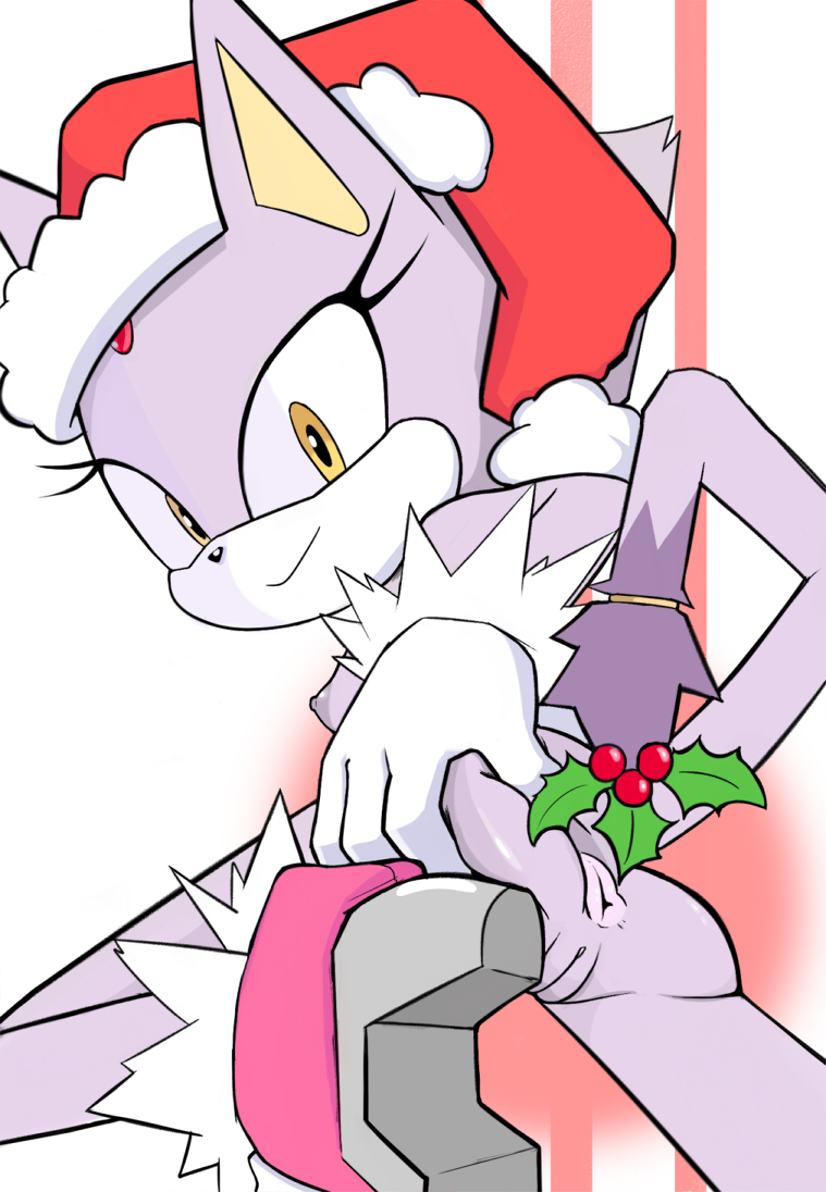Blaze The Cat (Christmas) Rule 34 Image