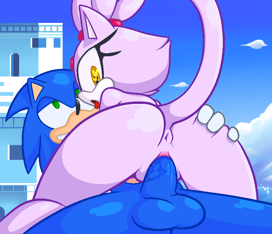 Blaze The Cat (Sonic (Series)) Rule 34 Image