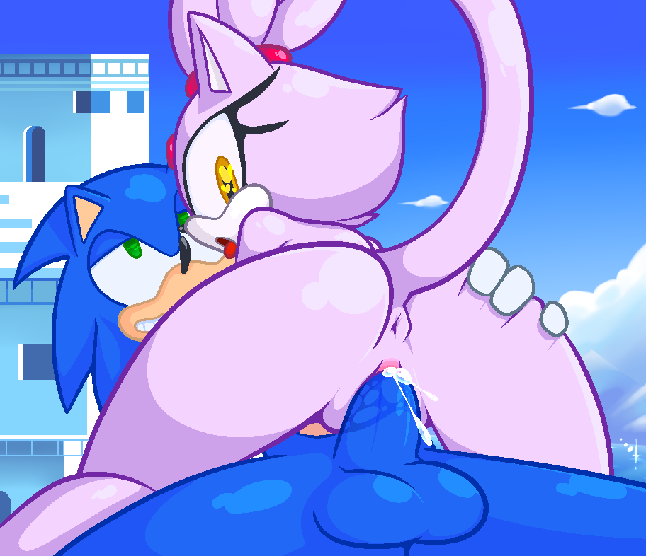 Blaze The Cat (Sonic (Series)) Rule 34 Image