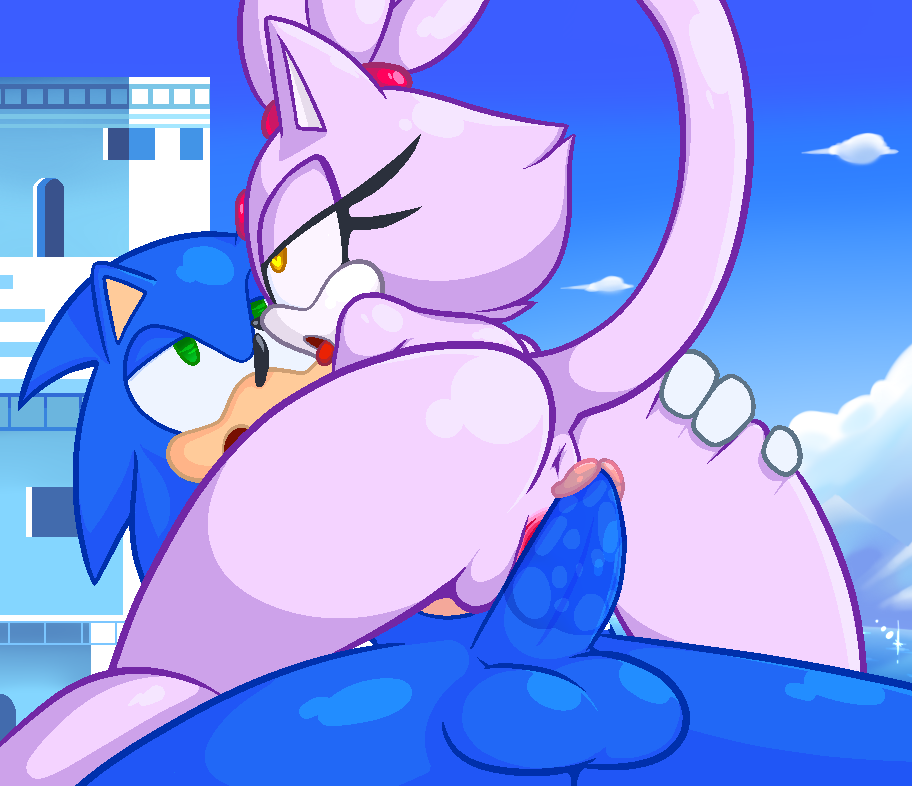 Blaze The Cat (Sonic (Series)) Rule 34 Image