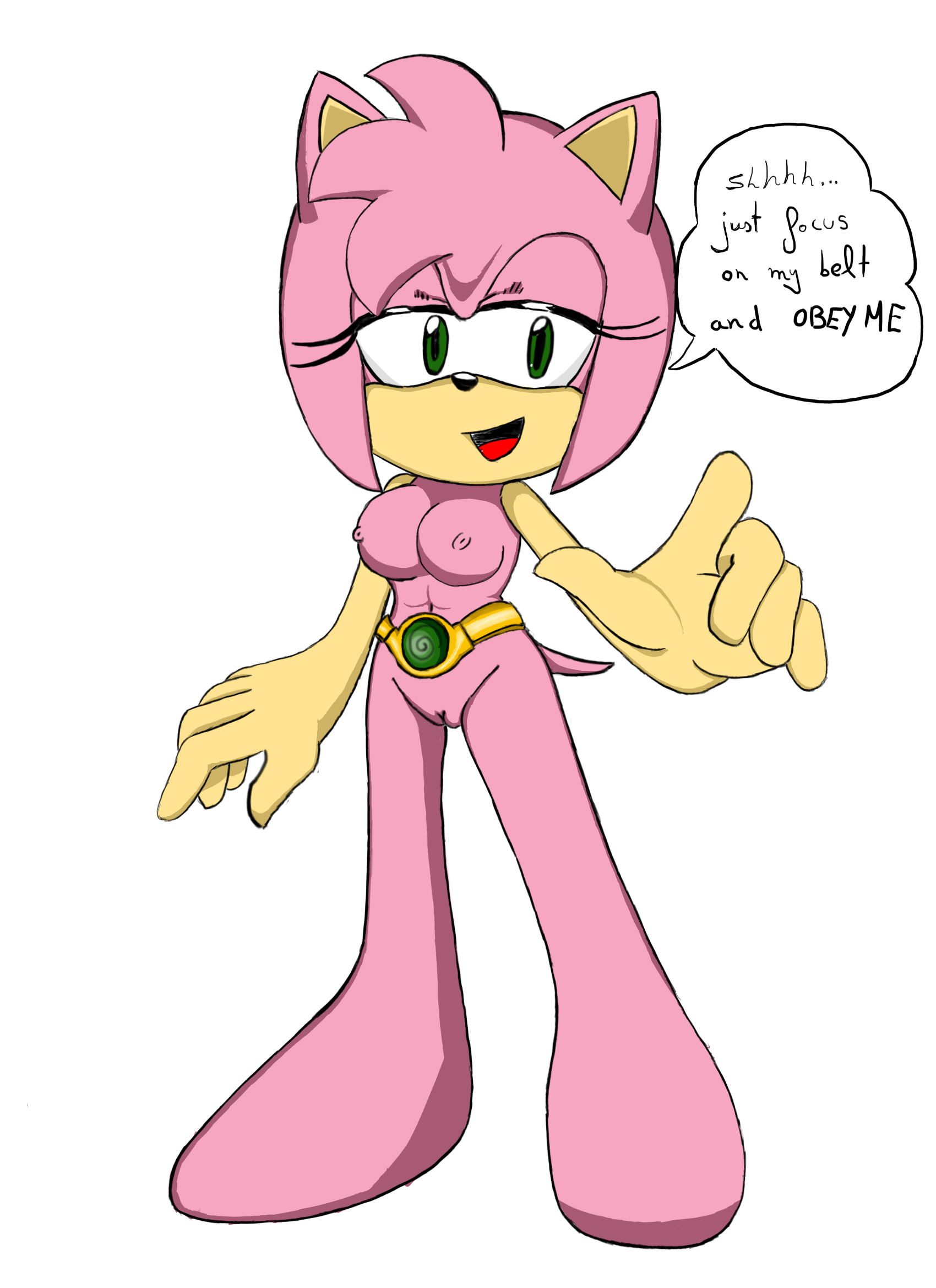 Amy Rose (Sonic (Series)) Rule 34 Image