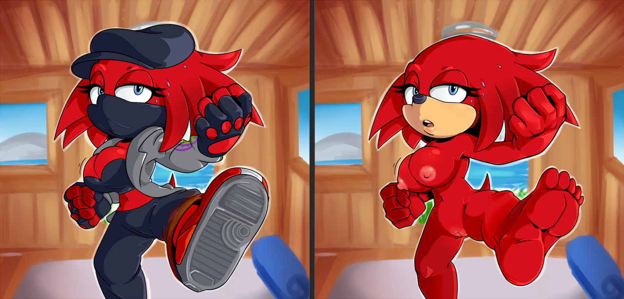 Fan Character (Sonic (Series)) Rule 34 Image