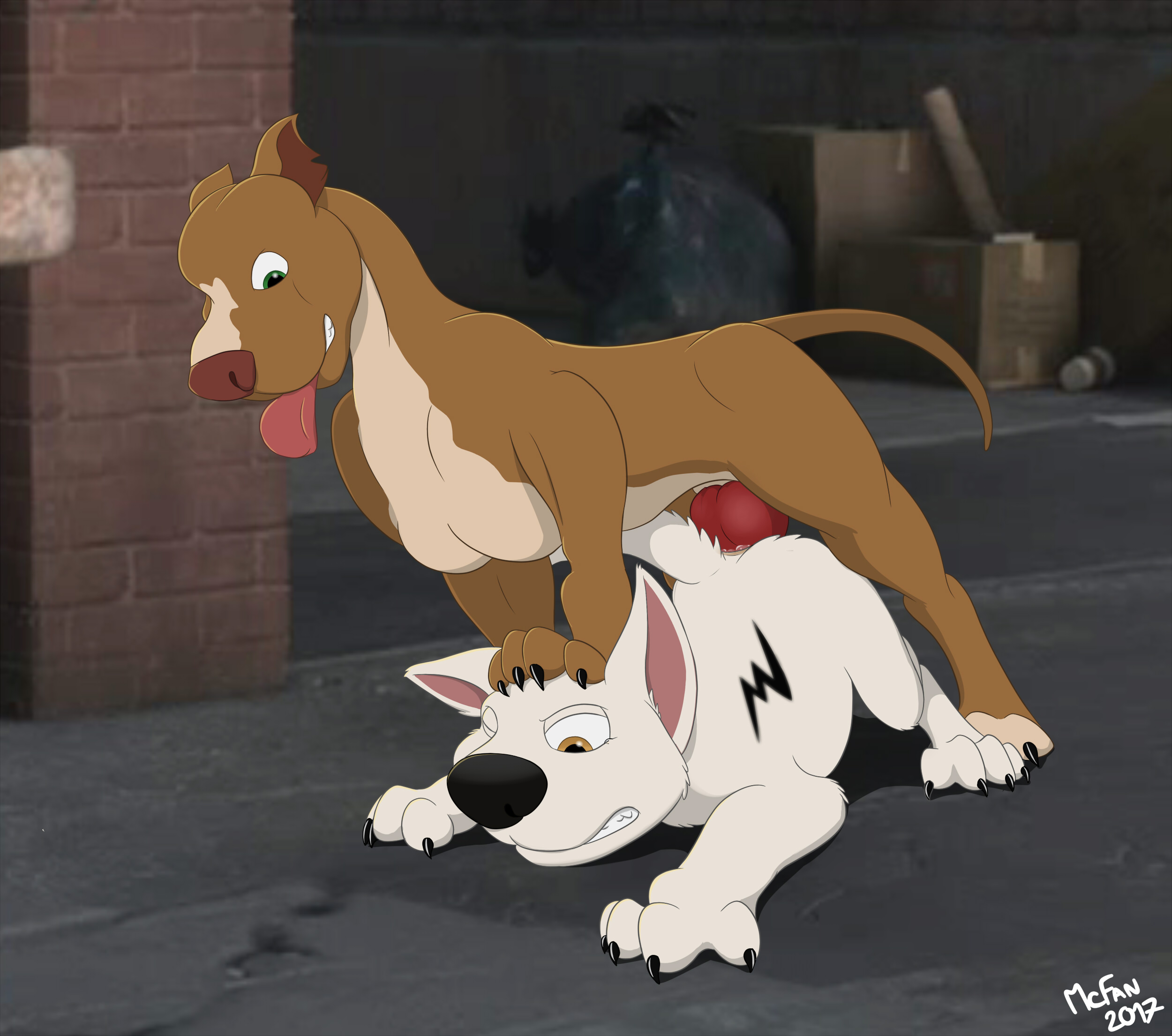 Bolt (Bolt) Rule 34 Image