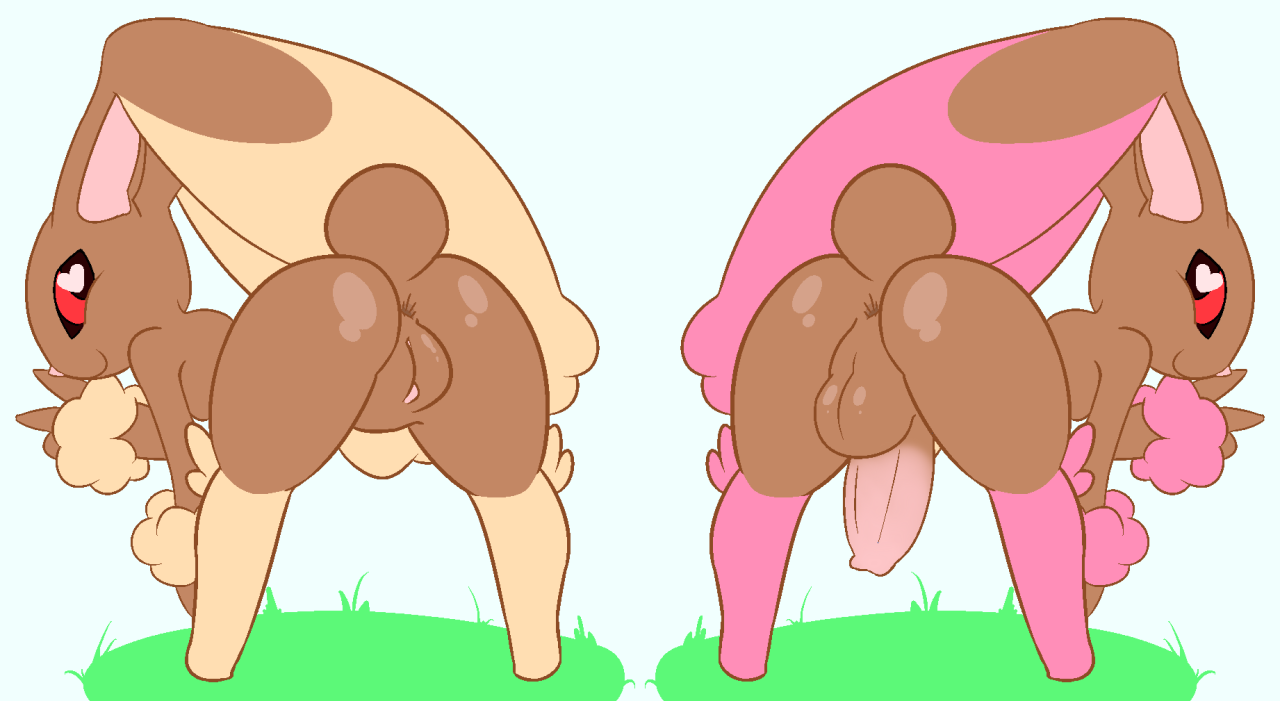 Lopunny (Nintendo) Rule 34 Image