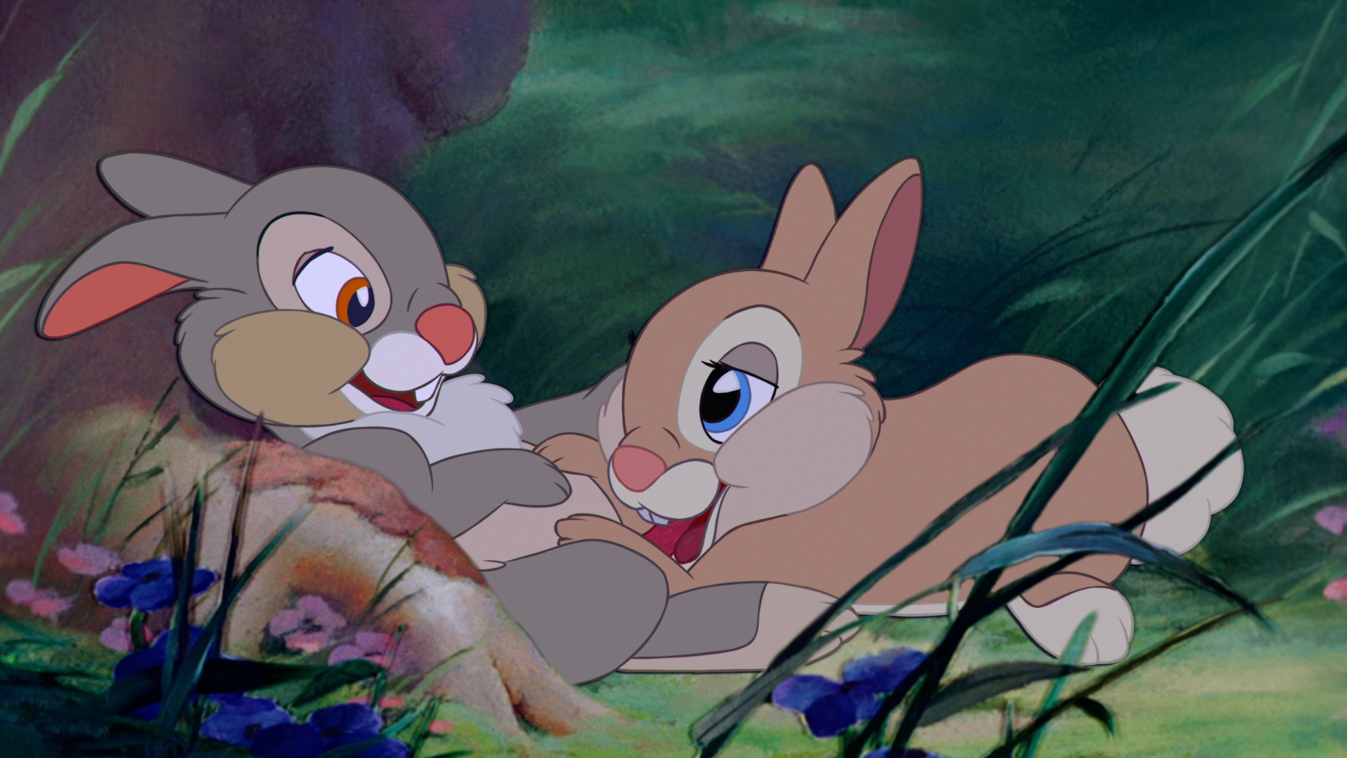 Thumper (Bambi (Film)) Rule 34 Image