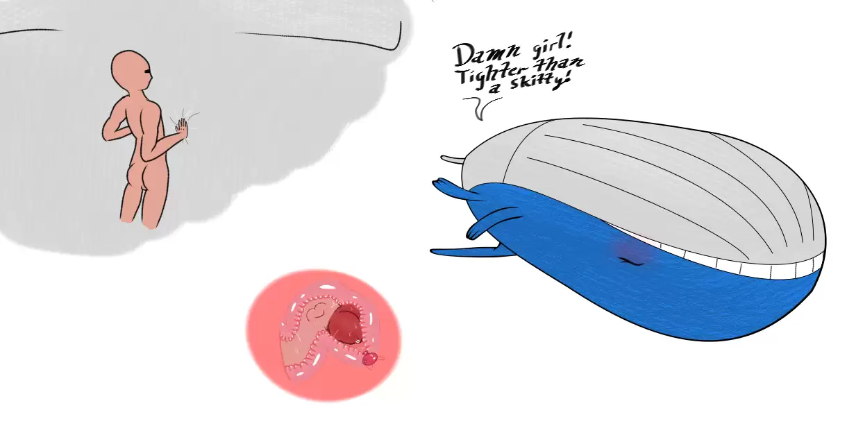 Wailord (Nintendo) Rule 34 Image
