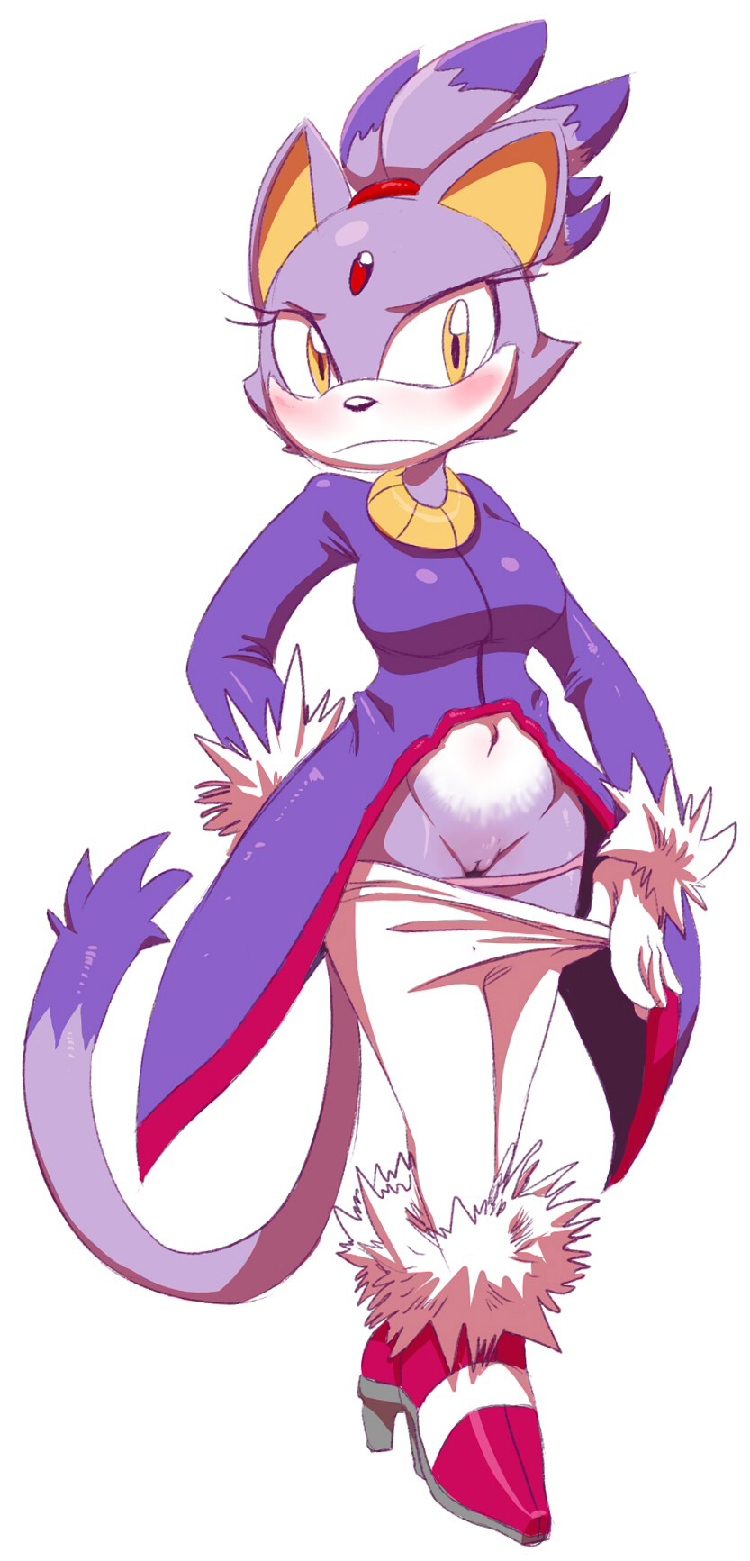 Sonic (Series) Rule 34 Image