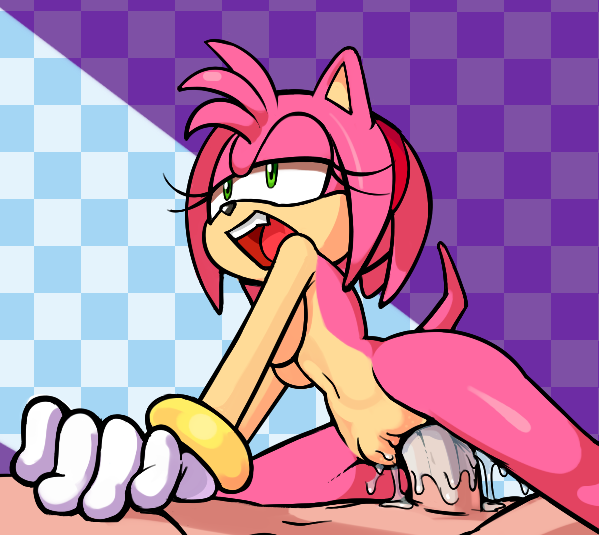 Amy Rose (Sonic (Series)) Rule 34 Image