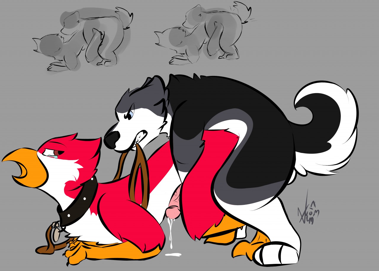 Avian (Starbound) Rule 34 Image