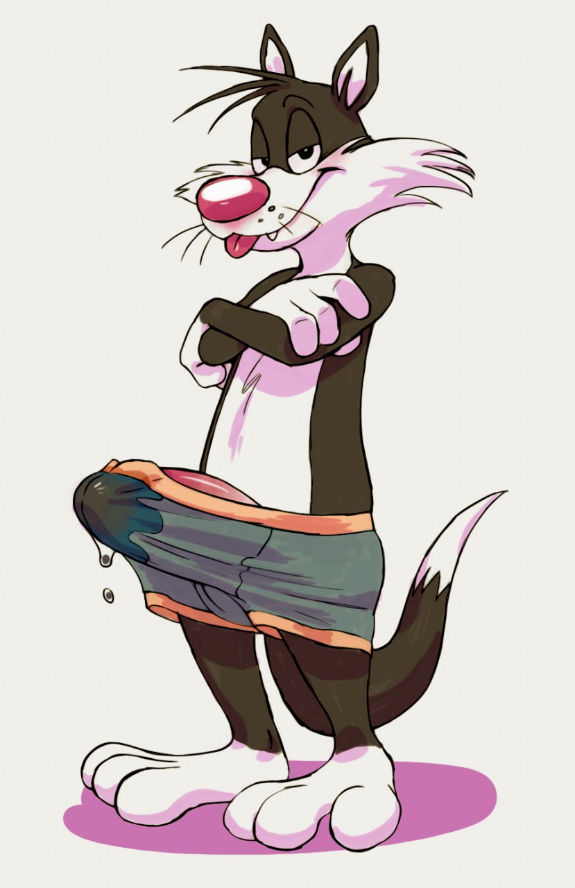 Sylvester (Looney Tunes) Rule 34 Image