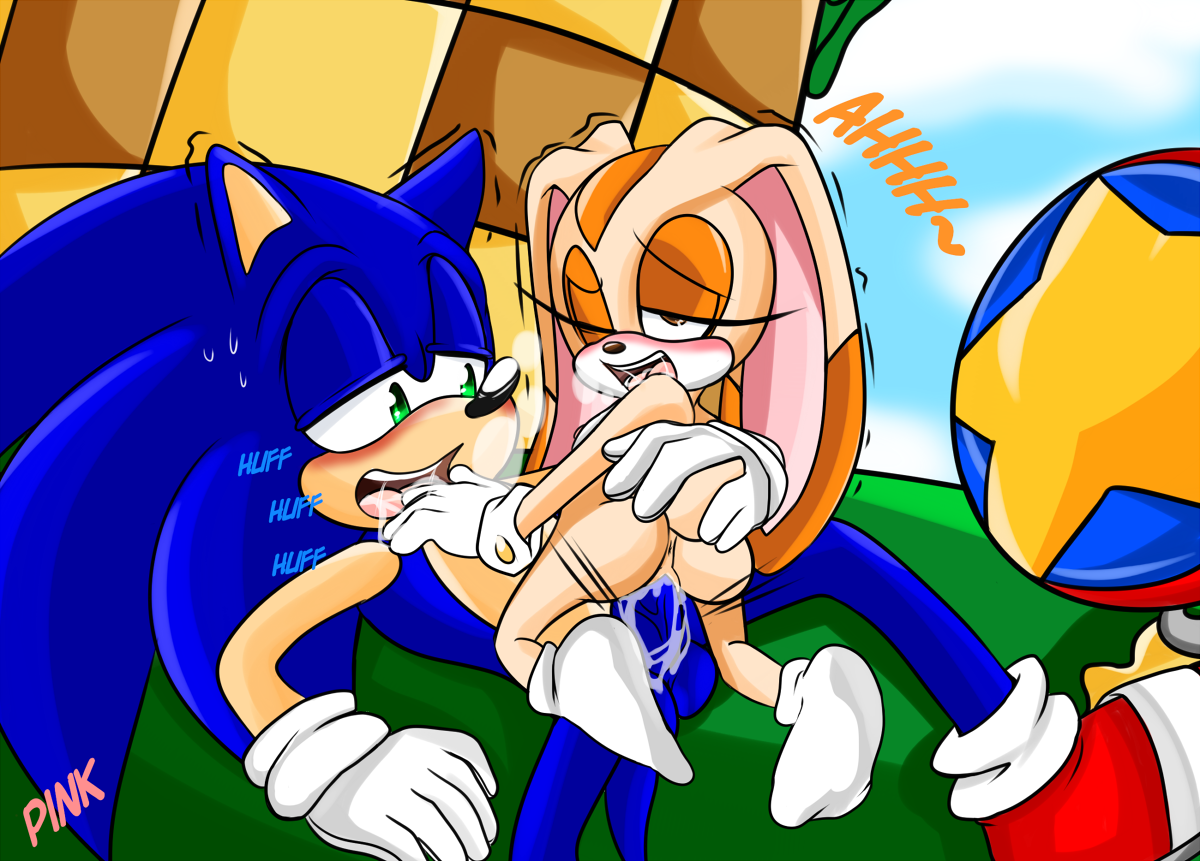 Cream The Rabbit (Sonic (Series)) Rule 34 Image