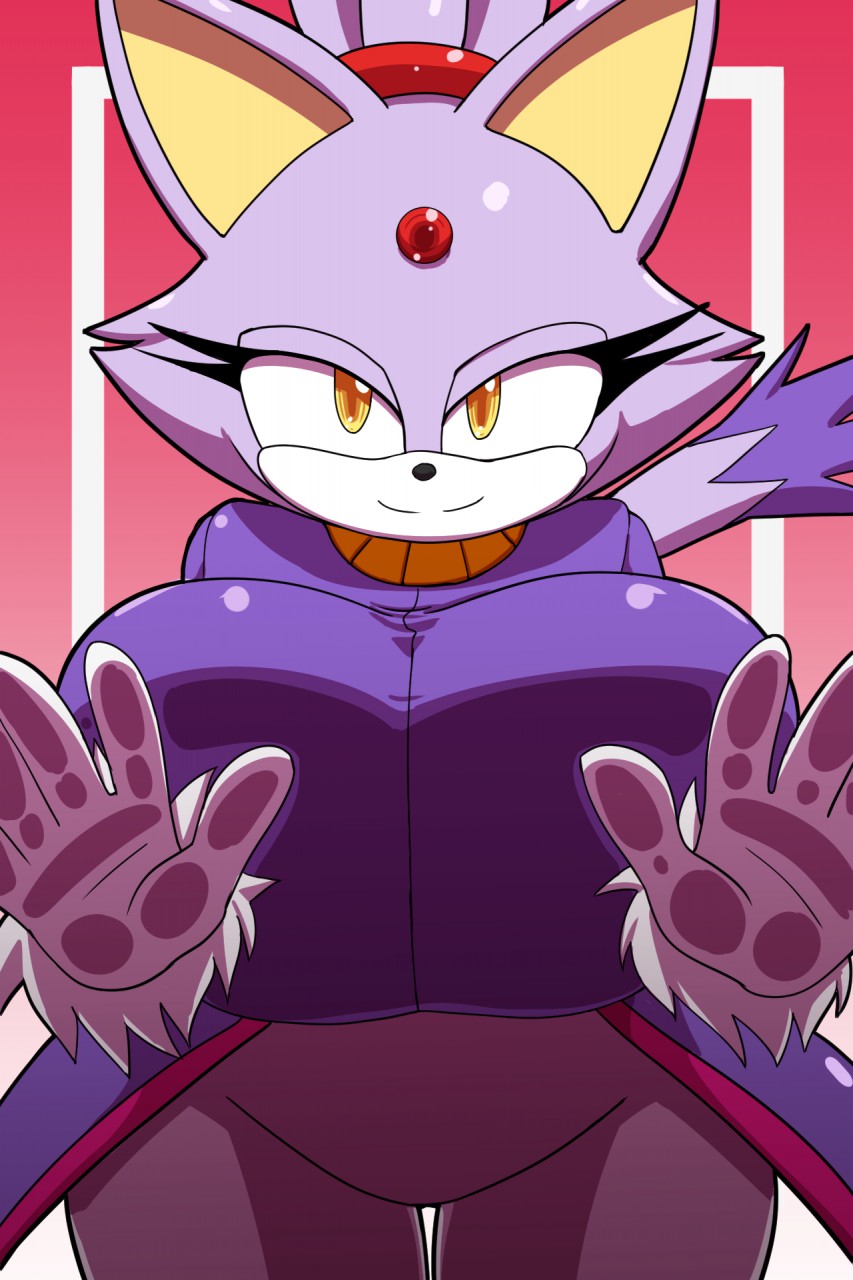 Blaze The Cat (Sonic (Series)) Rule 34 Image