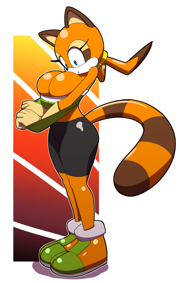 Marine The Raccoon (Sonic (Series)) Rule 34 Image