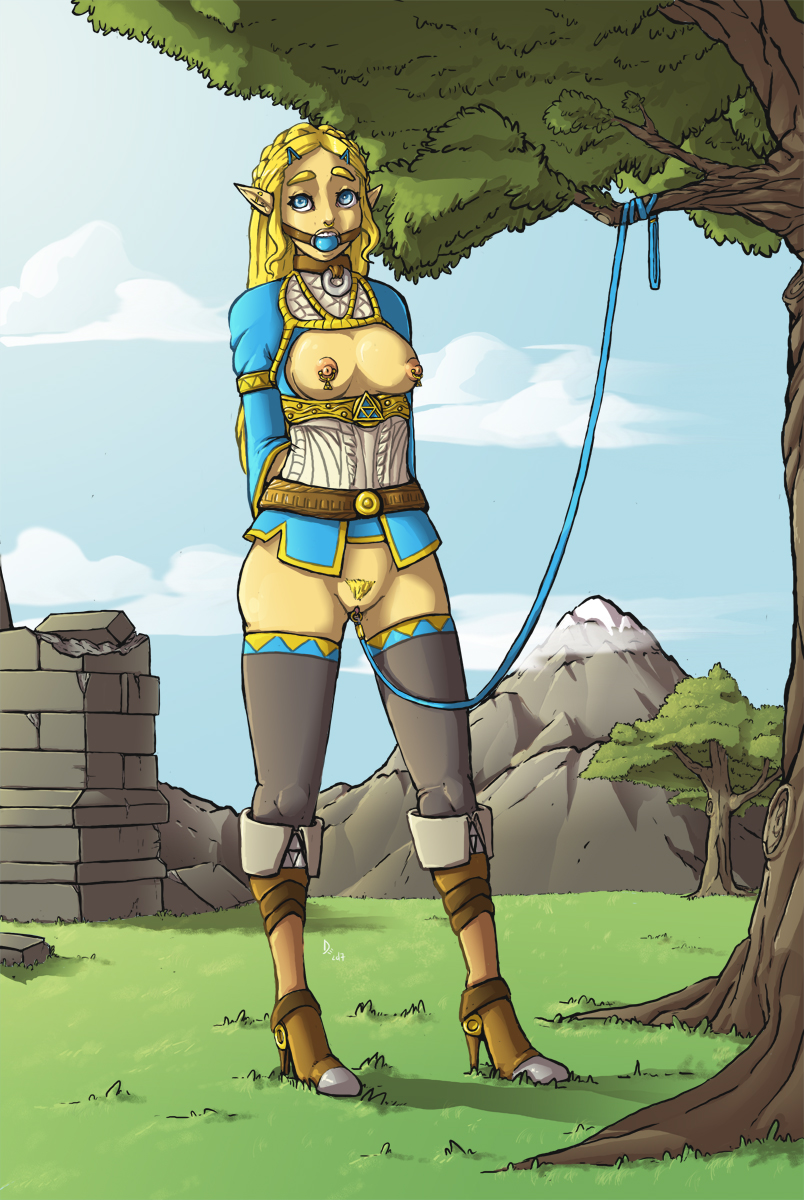 Princess Zelda (Breath Of The Wild) Rule 34 Image