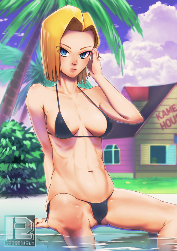 Android 18 (Dragon Ball) Rule 34 Image