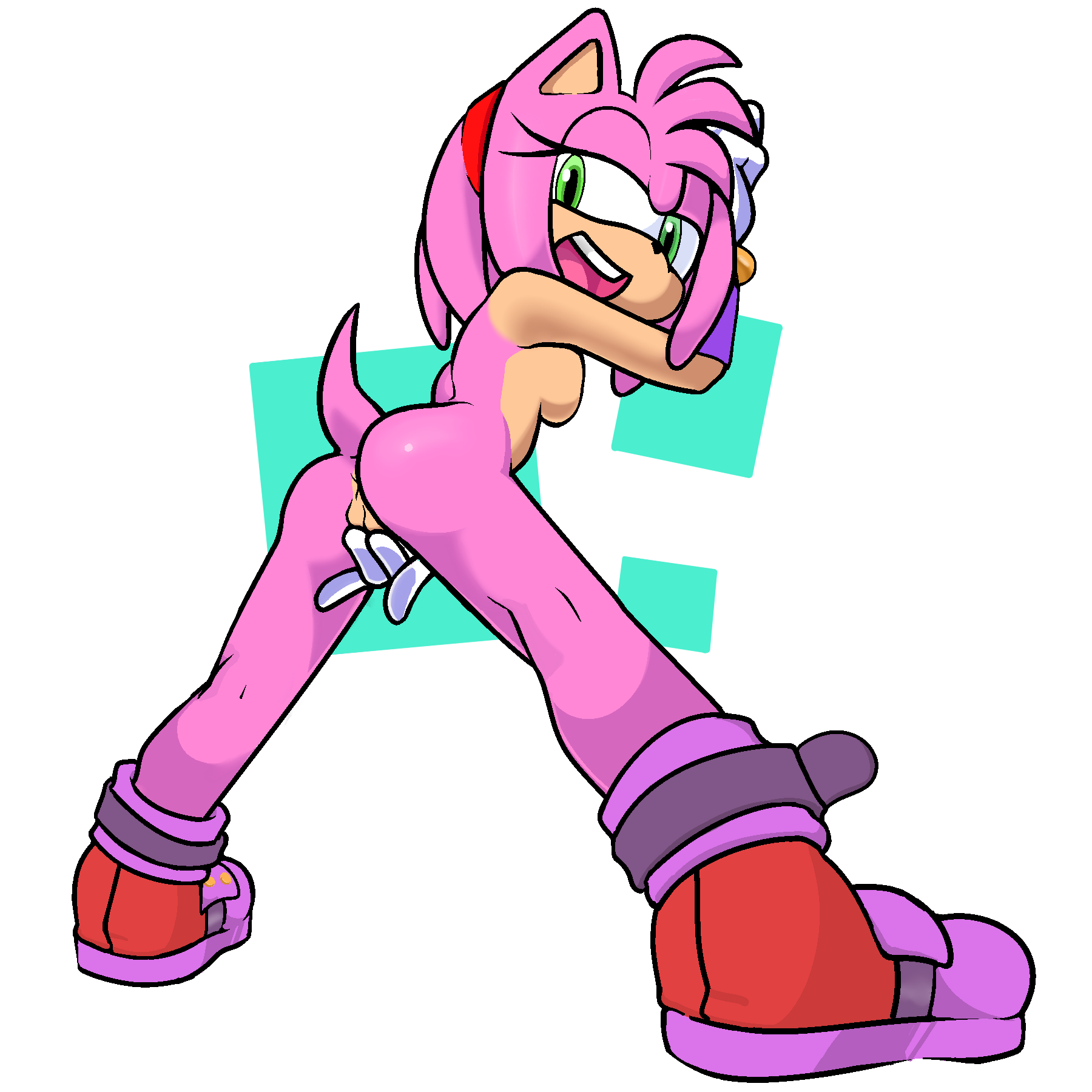 Amy Rose (Sonic (Series)) Rule 34 Image