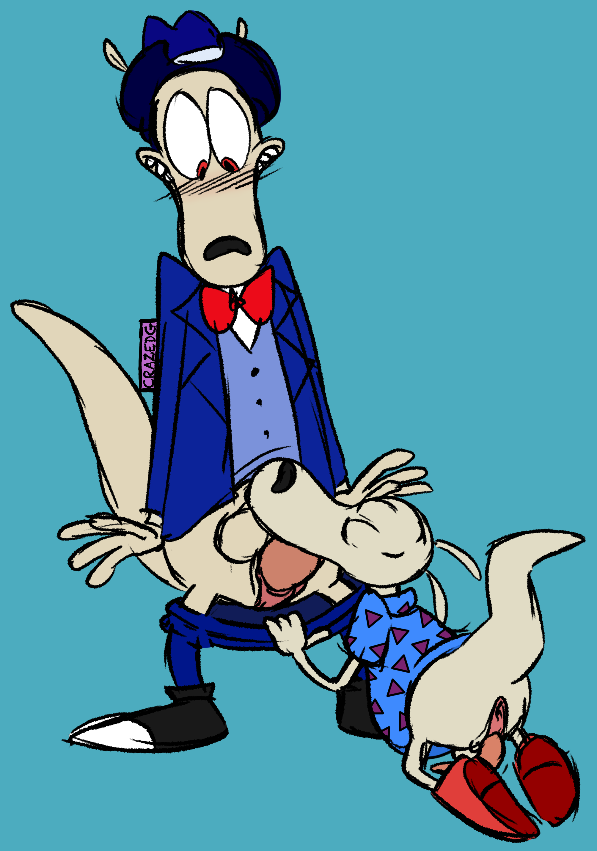 Rocko (Rocko'S Modern Life) Rule 34 Image