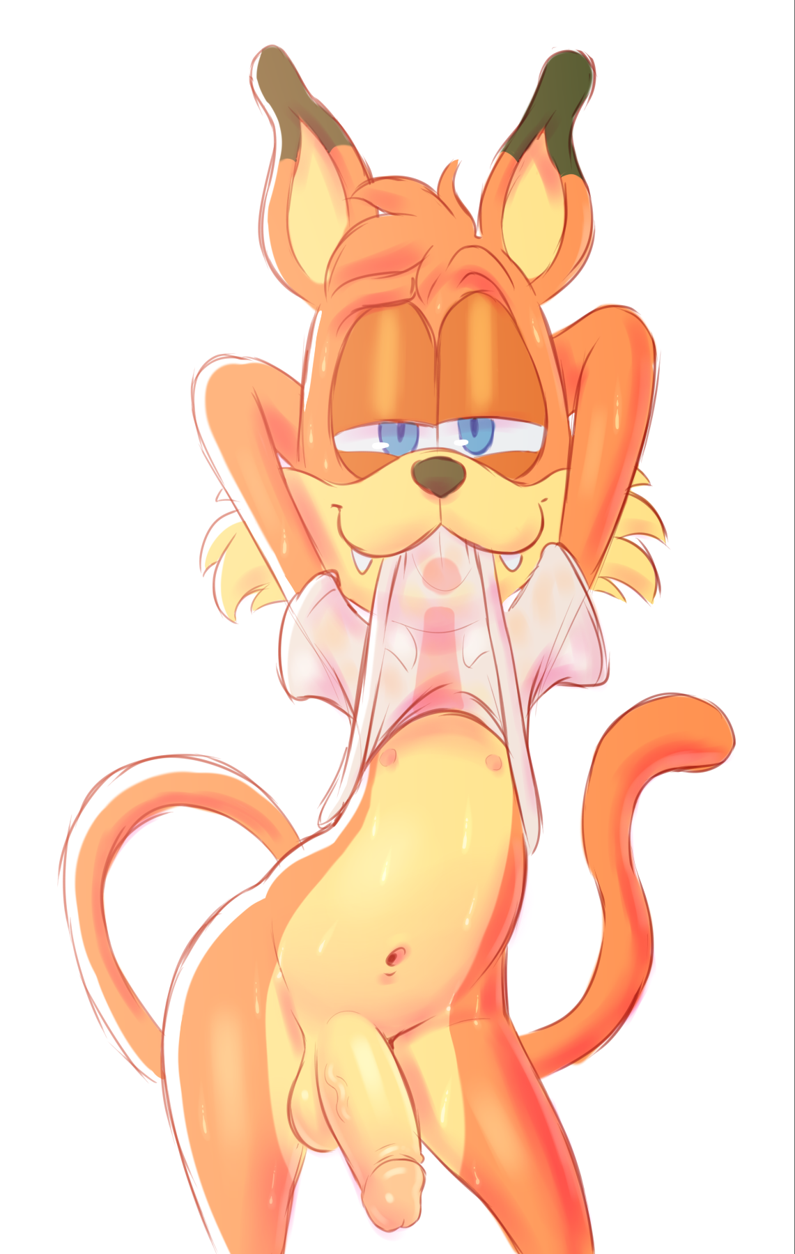 Bubsy (Series) Rule 34 Image