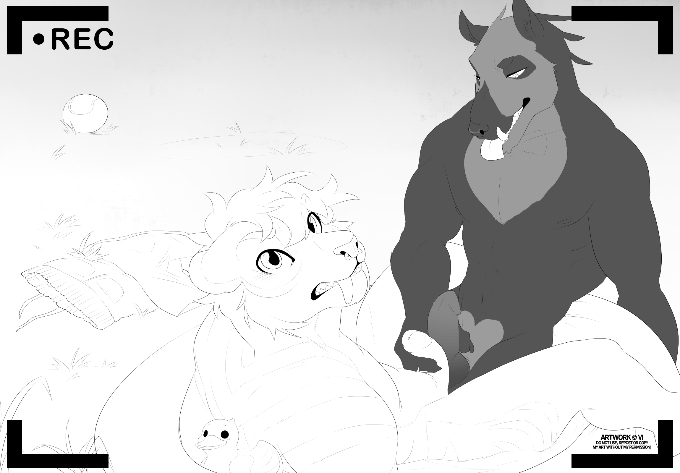 Animal Genitalia Rule 34 Image